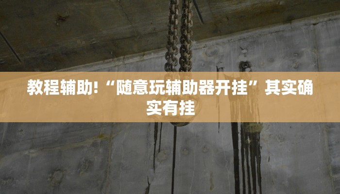 教程辅助!“随意玩辅助器开挂”其实确实有挂