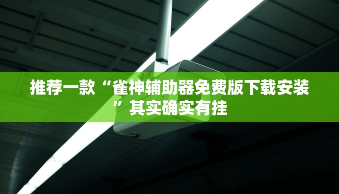 推荐一款“雀神辅助器免费版下载安装”其实确实有挂