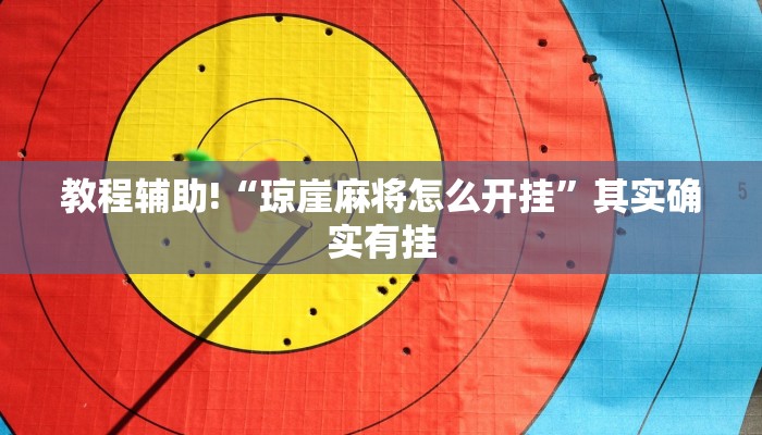 教程辅助!“琼崖麻将怎么开挂”其实确实有挂
