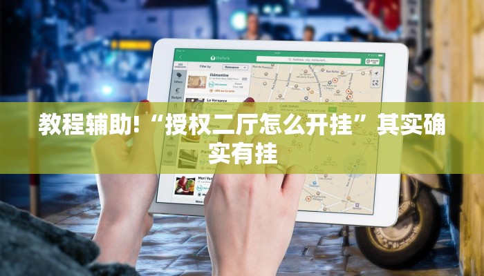 教程辅助!“授权二厅怎么开挂”其实确实有挂