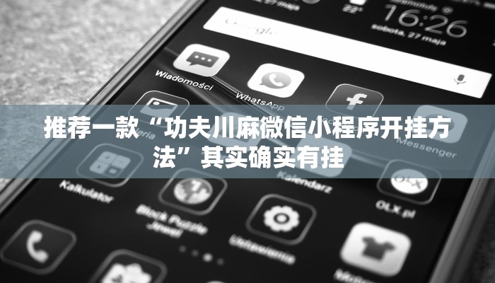 推荐一款“功夫川麻微信小程序开挂方法”其实确实有挂