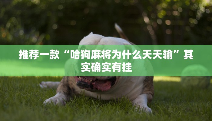 推荐一款“哈狗麻将为什么天天输”其实确实有挂