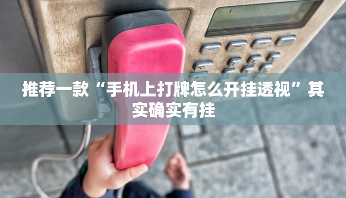 推荐一款“手机上打牌怎么开挂透视”其实确实有挂