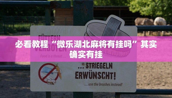 必看教程“微乐湖北麻将有挂吗”其实确实有挂