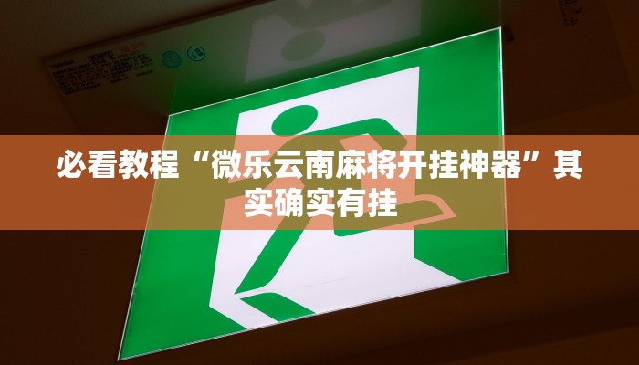 推荐一款“手机打麻将必赢软件”其实确实有挂
