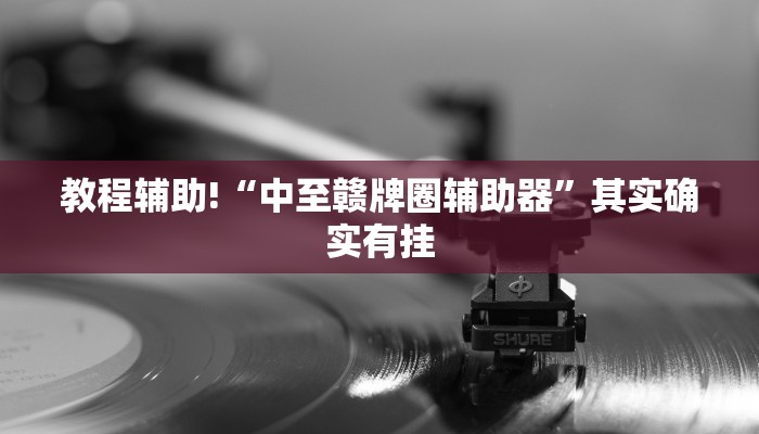 教程辅助!“中至赣牌圈辅助器”其实确实有挂