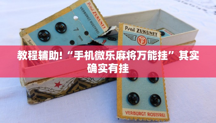 教程辅助!“手机微乐麻将万能挂”其实确实有挂