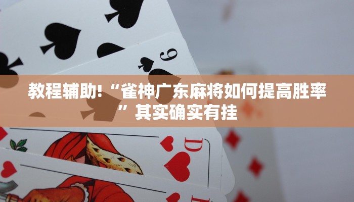 教程辅助!“雀神广东麻将如何提高胜率”其实确实有挂