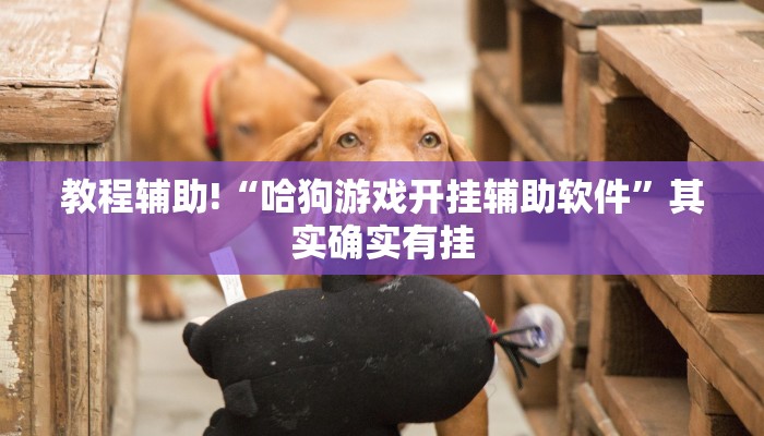 教程辅助!“哈狗游戏开挂辅助软件”其实确实有挂