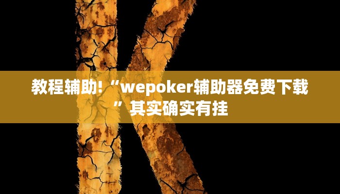教程辅助!“wepoker辅助器免费下载”其实确实有挂