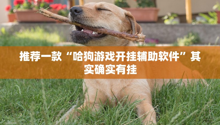 推荐一款“哈狗游戏开挂辅助软件”其实确实有挂