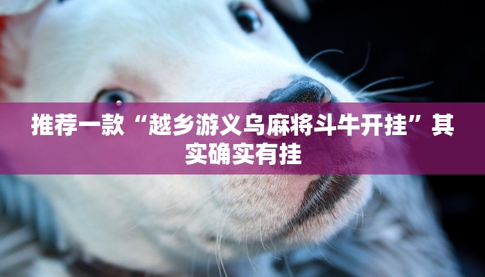 推荐一款“越乡游义乌麻将斗牛开挂”其实确实有挂