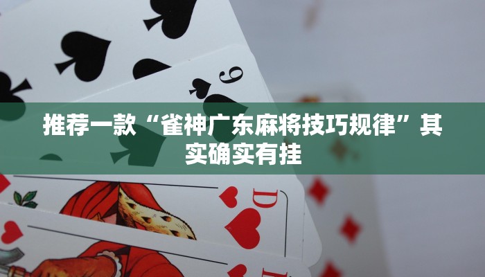推荐一款“雀神广东麻将技巧规律”其实确实有挂