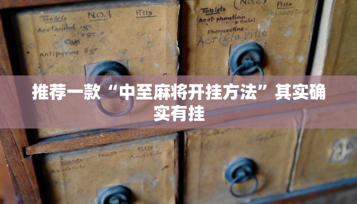 推荐一款“中至麻将开挂方法”其实确实有挂