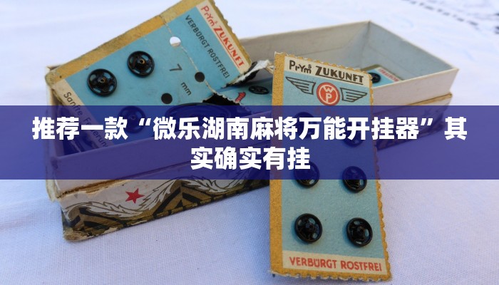 推荐一款“微乐湖南麻将万能开挂器”其实确实有挂
