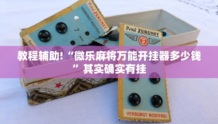 教程辅助!“微乐麻将万能开挂器多少钱”其实确实有挂