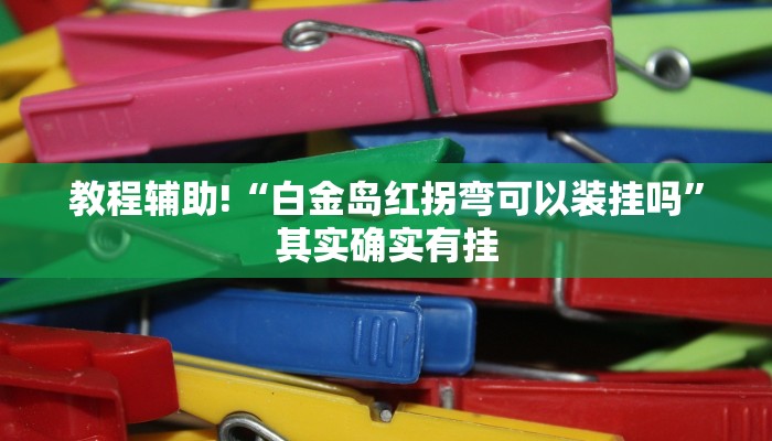 教程辅助!“白金岛红拐弯可以装挂吗”其实确实有挂