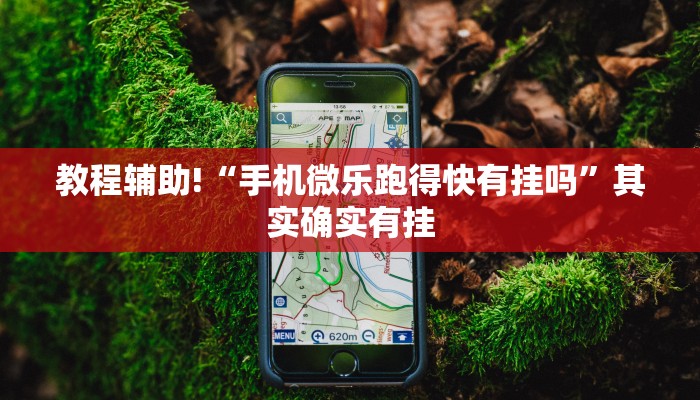 教程辅助!“手机微乐跑得快有挂吗”其实确实有挂