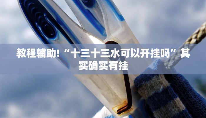 教程辅助!“十三十三水可以开挂吗”其实确实有挂