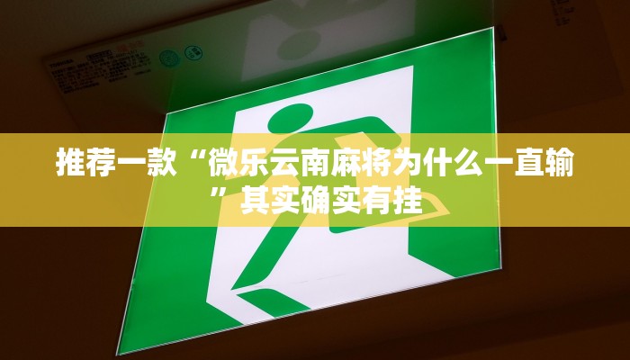 永新319限行政策解析，背景、影响与市民应对策略