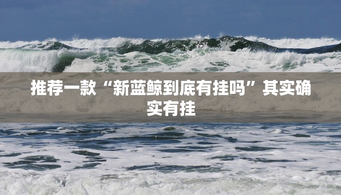 推荐一款“新蓝鲸到底有挂吗”其实确实有挂