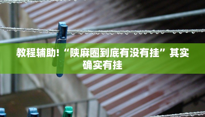 教程辅助!“陕麻圈到底有没有挂”其实确实有挂