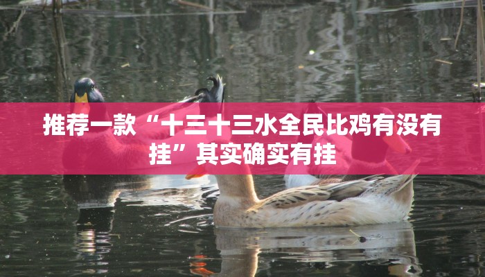 推荐一款“十三十三水全民比鸡有没有挂”其实确实有挂