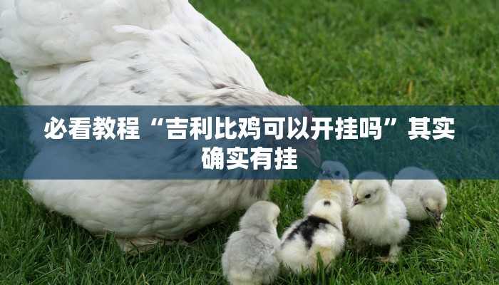 必看教程“吉利比鸡可以开挂吗”其实确实有挂