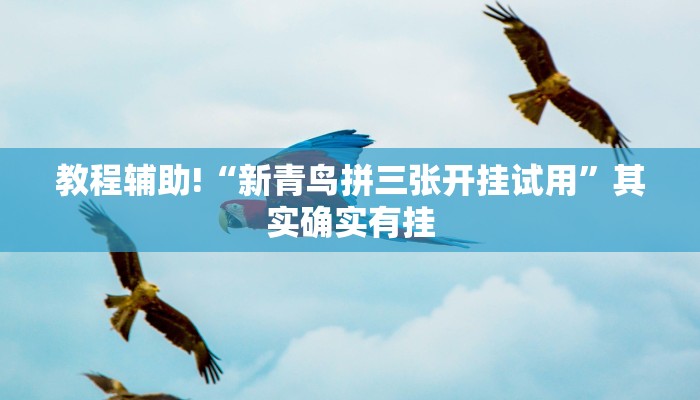 教程辅助!“新青鸟拼三张开挂试用”其实确实有挂