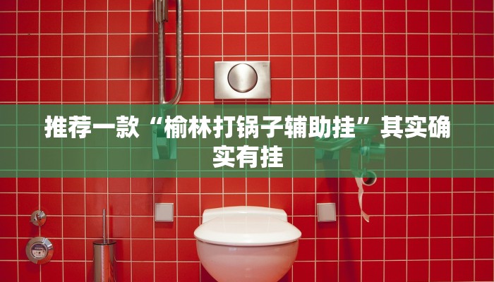 推荐一款“榆林打锅子辅助挂”其实确实有挂