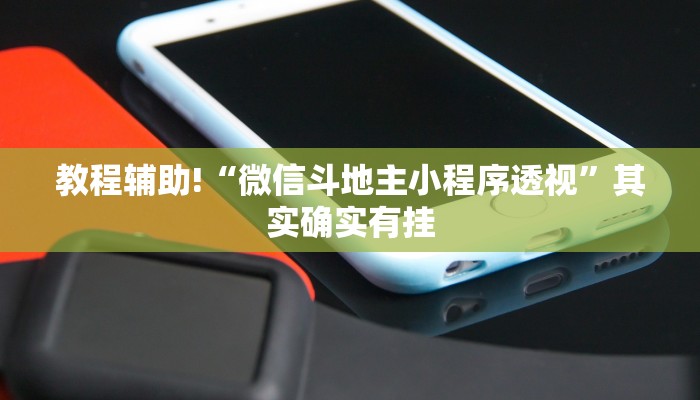 教程辅助!“微信斗地主小程序透视”其实确实有挂