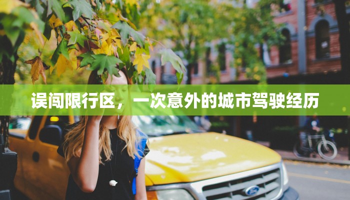 误闯限行区，一次意外的城市驾驶经历