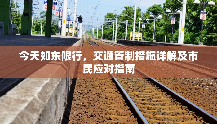 今天如东限行，交通管制措施详解及市民应对指南
