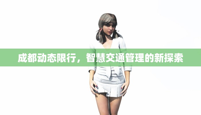 成都动态限行，智慧交通管理的新探索