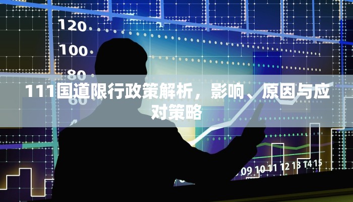 111国道限行政策解析，影响、原因与应对策略