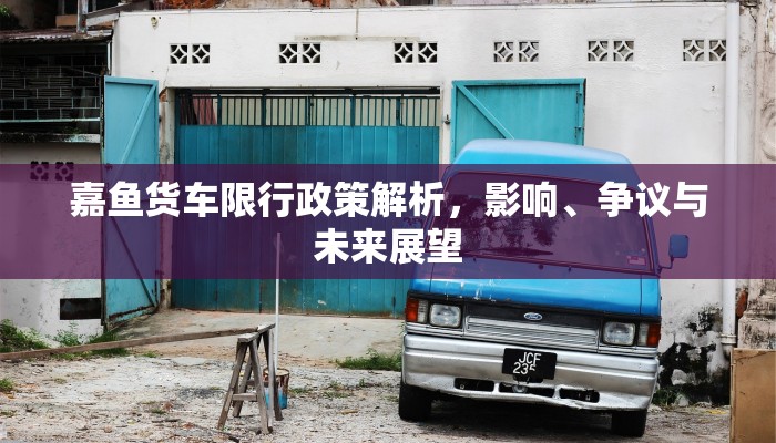 嘉鱼货车限行政策解析，影响、争议与未来展望