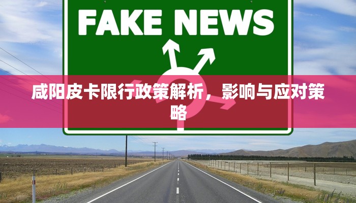 咸阳皮卡限行政策解析，影响与应对策略