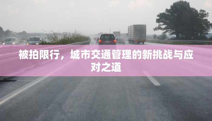 被拍限行，城市交通管理的新挑战与应对之道