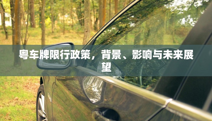 粤车牌限行政策，背景、影响与未来展望