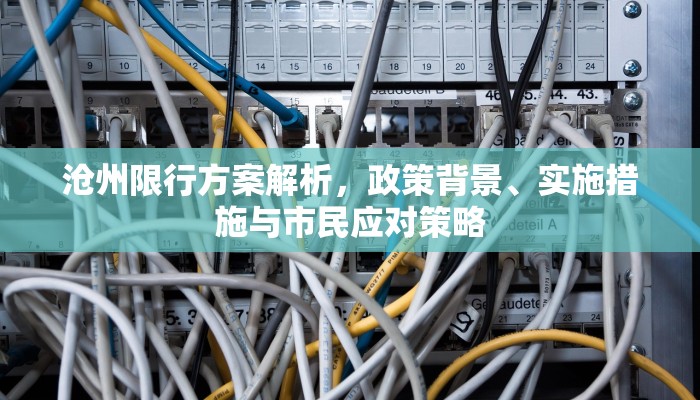 沧州限行方案解析，政策背景、实施措施与市民应对策略