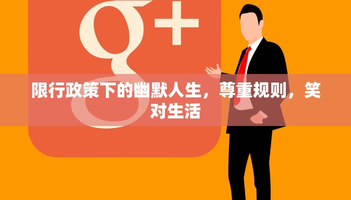 限行政策下的幽默人生，尊重规则，笑对生活