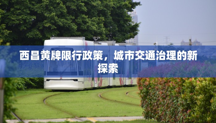 西昌黄牌限行政策，城市交通治理的新探索