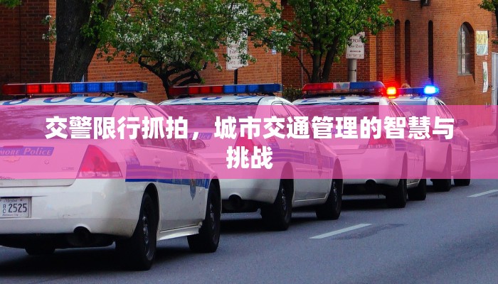 交警限行抓拍，城市交通管理的智慧与挑战