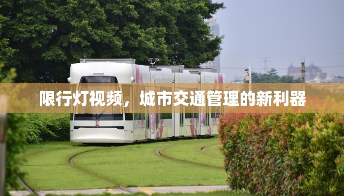 限行灯视频，城市交通管理的新利器