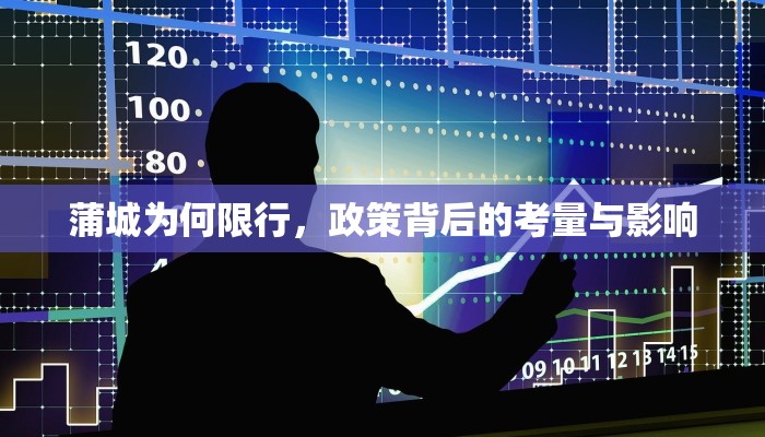 蒲城为何限行，政策背后的考量与影响