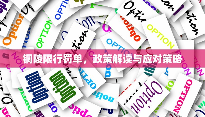 铜陵限行罚单，政策解读与应对策略