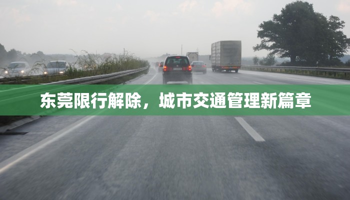 东莞限行解除，城市交通管理新篇章
