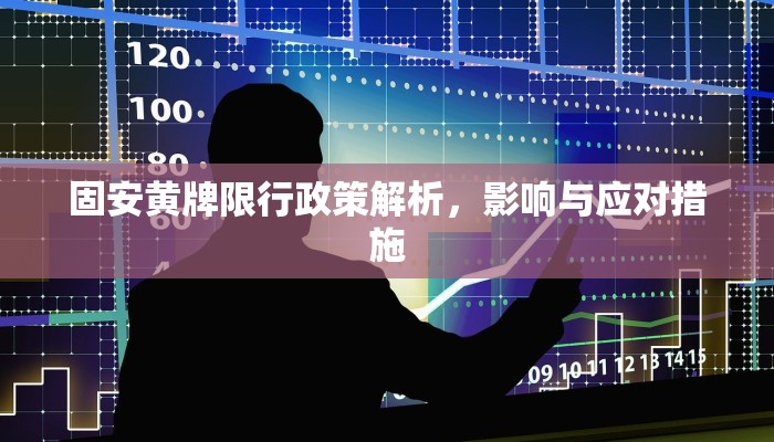 固安黄牌限行政策解析，影响与应对措施