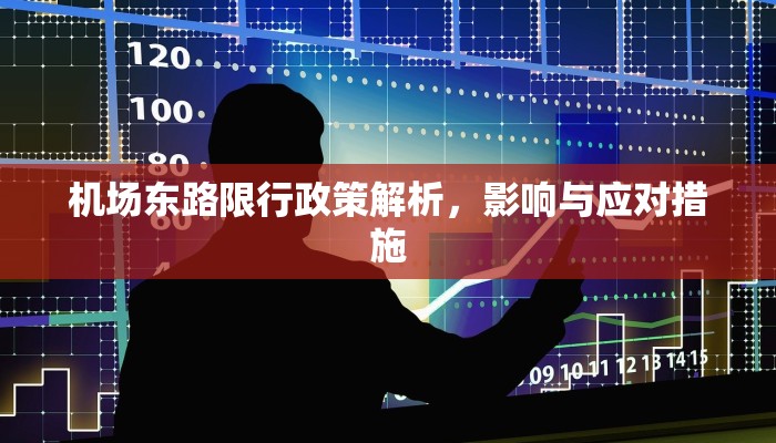机场东路限行政策解析，影响与应对措施