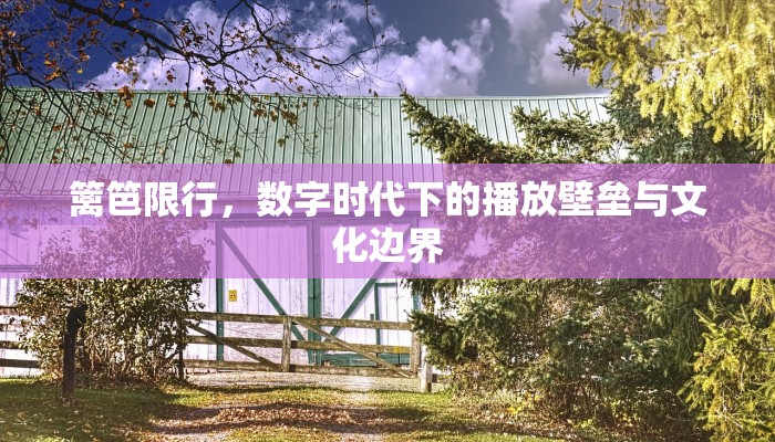 篱笆限行，数字时代下的播放壁垒与文化边界